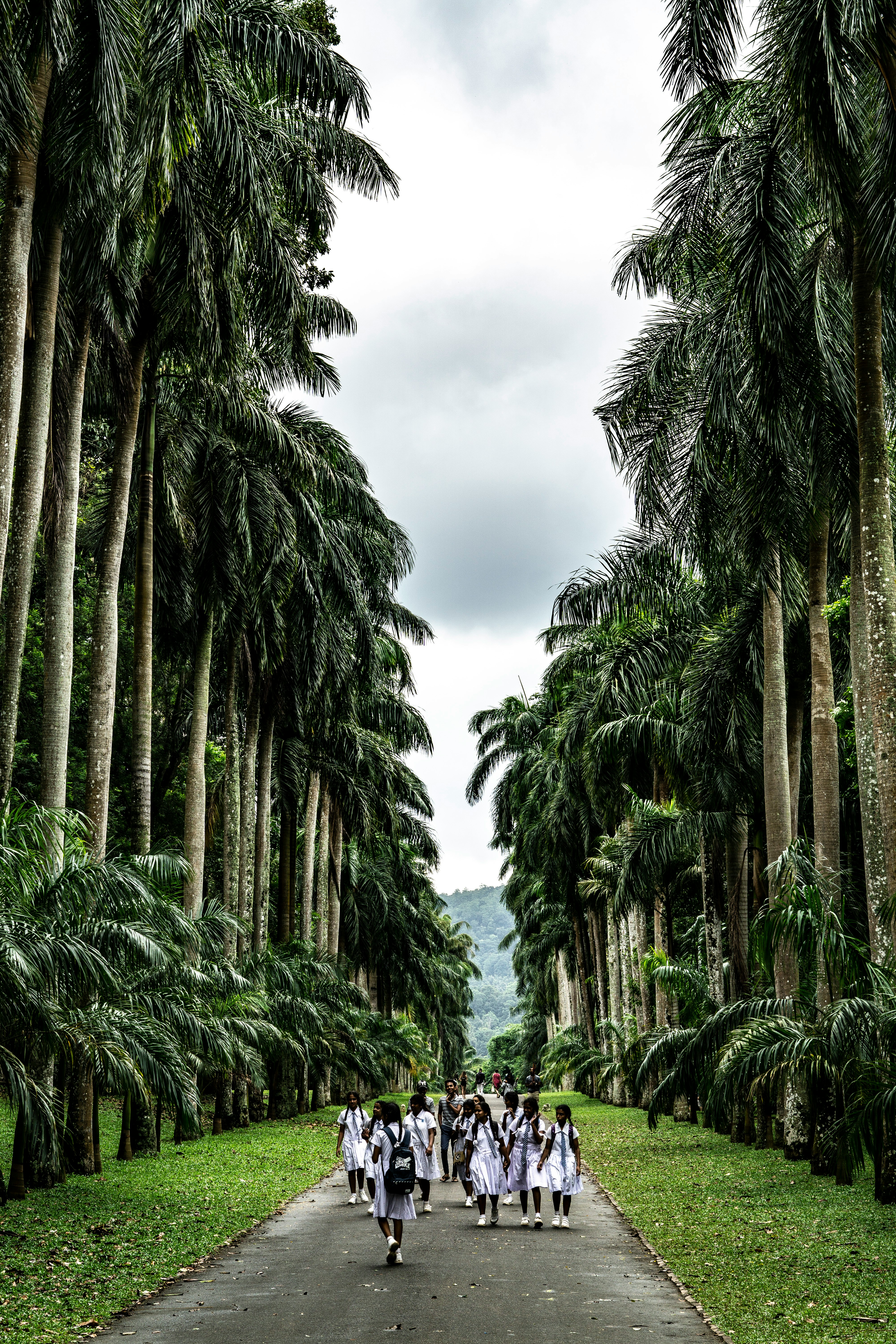 destination image